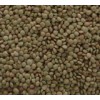 Green Lentil (01-01)