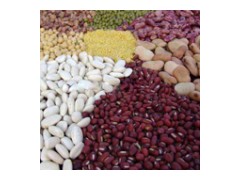 Bean - White Kidney bean图1