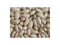White Kidney Beans图1