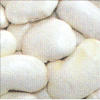 Long White Kidney Beans