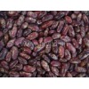 Purple Speckled Kidney Bean