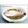 Sell Yellowfin filefish