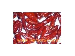 Sell Red Chilli图1