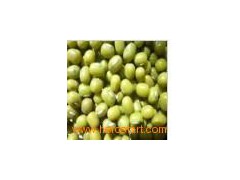 Chines_HPSHPS_Mung_Beans图1
