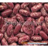 Red speckled kidney bean