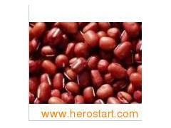 Small Red Kidney Beans (0023)图1