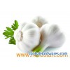 Garlic Oil, Garlic Extract, Allicin