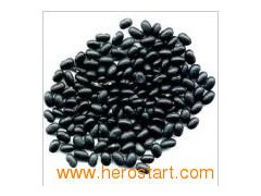 Black Kidney Beans (0021)图1