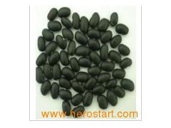 Small Black Beans (014)图1
