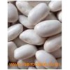 In White Kidney Beans (003)