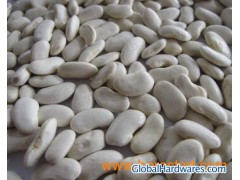 White Flat Beans图1