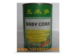 Canned Baby Corn in Tin图1