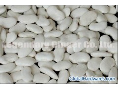 White Kidney Beans Flat Shape图1