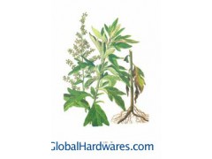 Aiye Leaf Powder图1