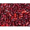 Dark Red Kidney Bean