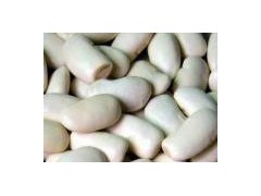 Large White Kidney Beans图1