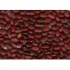 Red Kidney Beans (YL006)