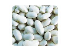 White Kidney Beans (Long Type)图1