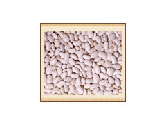 Organic White Kidney Beans图1