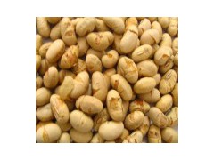 Sated Soya beans (GMO FREE)图1