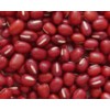 Small Red Bean (TX09005)