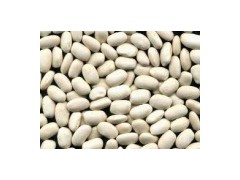 Whit Kidney Beans图1