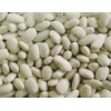 White Kidney Beans, Medium Size