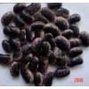 Large Black Speckled Kidney Beans