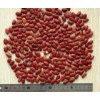 Red Kidney Bean (HM-11001)