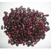 Red Kidney Bean