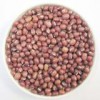 Azuki Bean