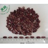 Purple Speckled Kidney Beans