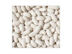 White Kidney Beans Baishake Type图1