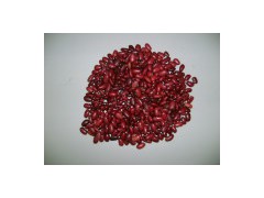 Small Red Kidney Beans (655)图1