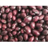 Purple Kidney Beans (Round)