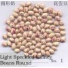Round Speckled Kidney Bean