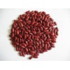 Dark Red Kidney Bean (655)