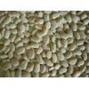 Large White Kidney Beans