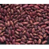 Purple Specked Kidney Beans