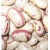 Light Speckled Kidney Bean (Long Shape)