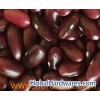 2010 newest red kidney beans