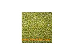 Mung Bean4图1