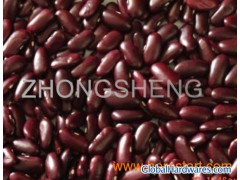 Dark Red Kidney Beans British Type图1