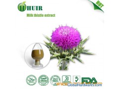 High quality Milk Thistle Extract, Silybum marianum Extract图1