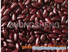 Red kindney Bean图1