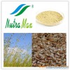 Flax Seed Extract 20%~80%(sales06@nutra-max.com)