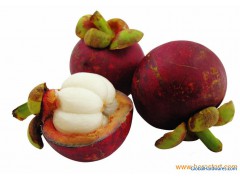 100% Natural mangosteen extract Mangostin 5%-95%图1