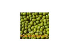 High_Quality_mung_bean2图1