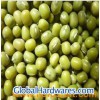 /Chines_Green_Mung_Bean_New_Crop