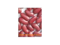 Red Kidney Beans (007)图1